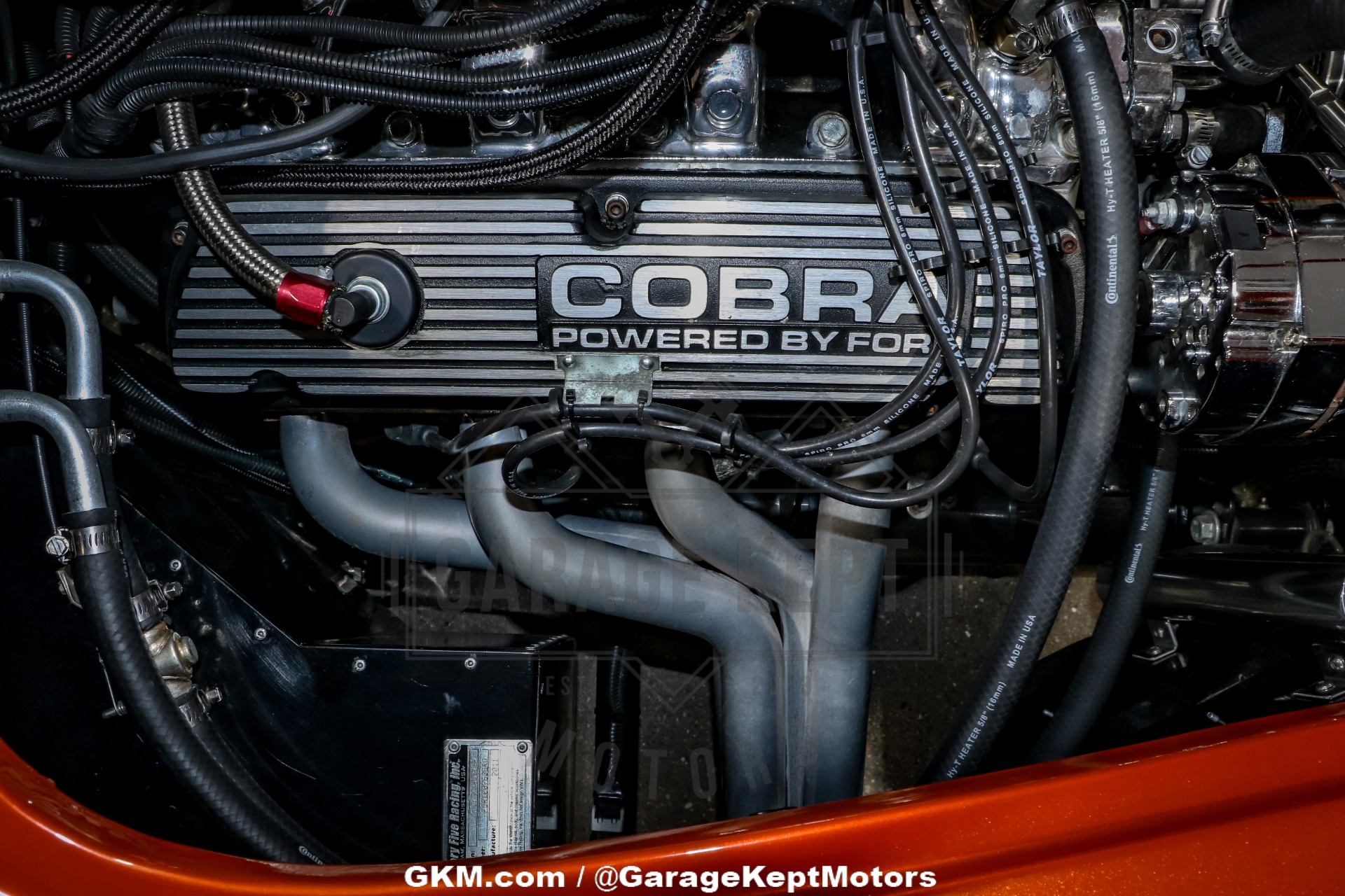 1965 Shelby Cobra Replica 101