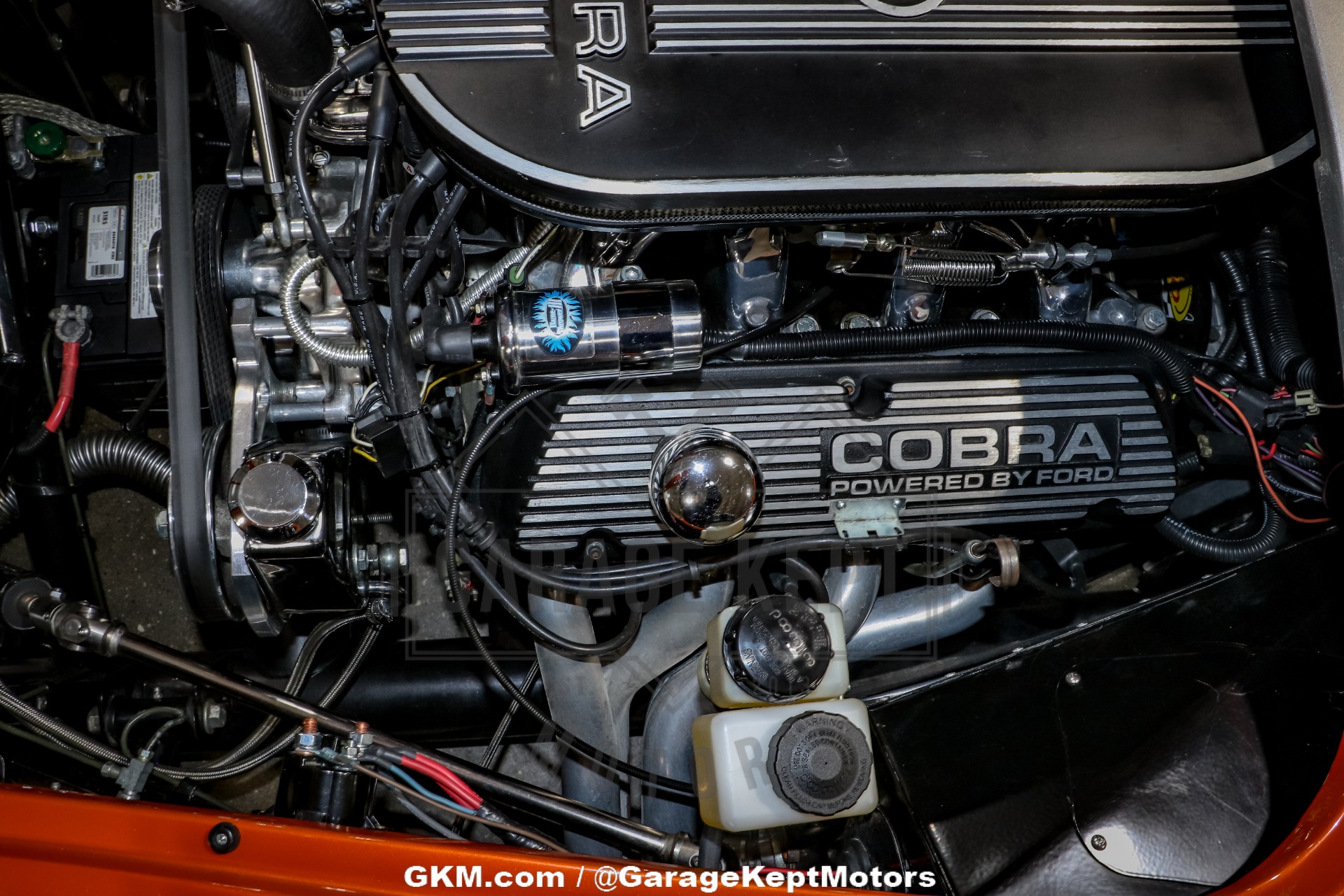 1965 Shelby Cobra Replica 111