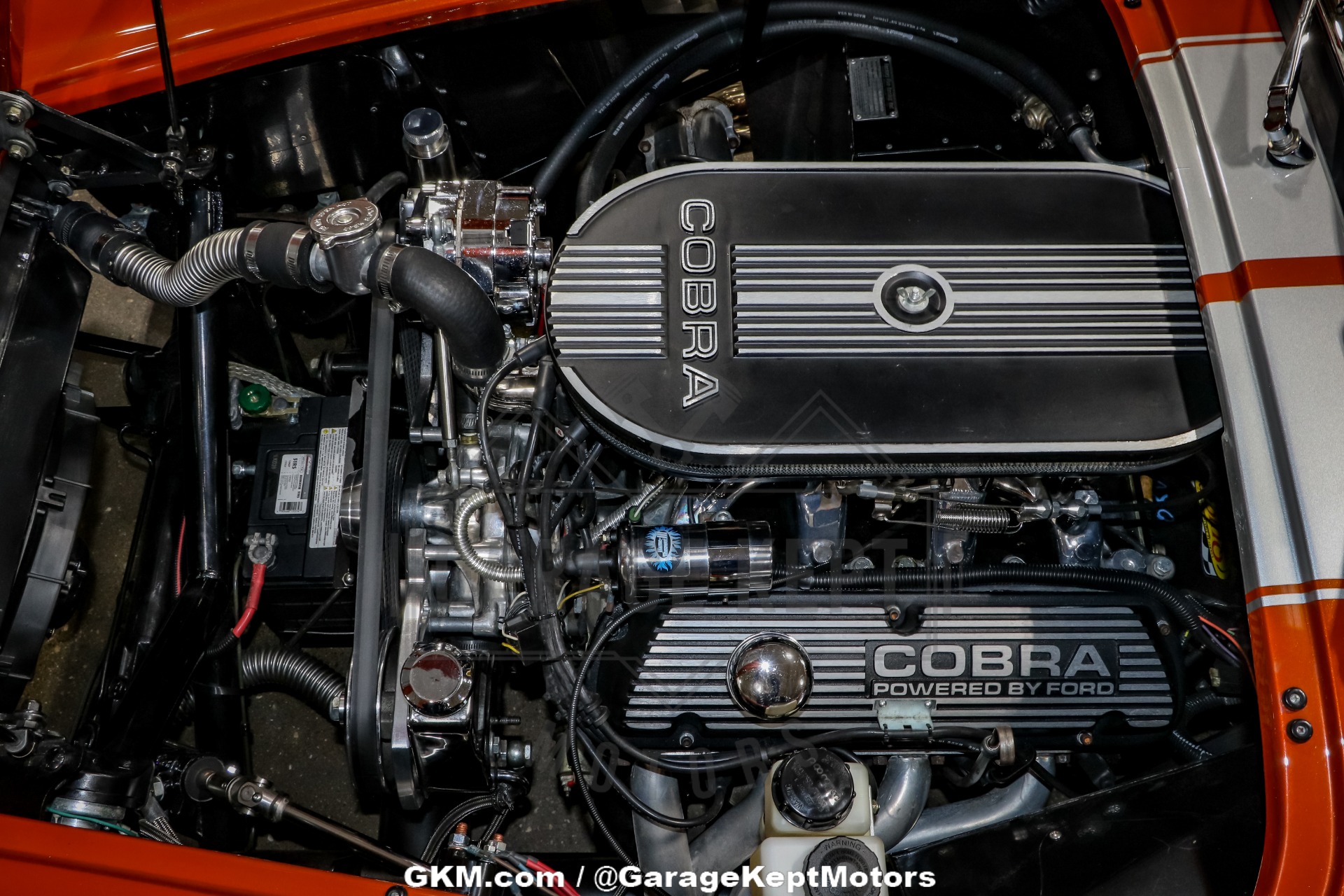 1965 Shelby Cobra Replica 113