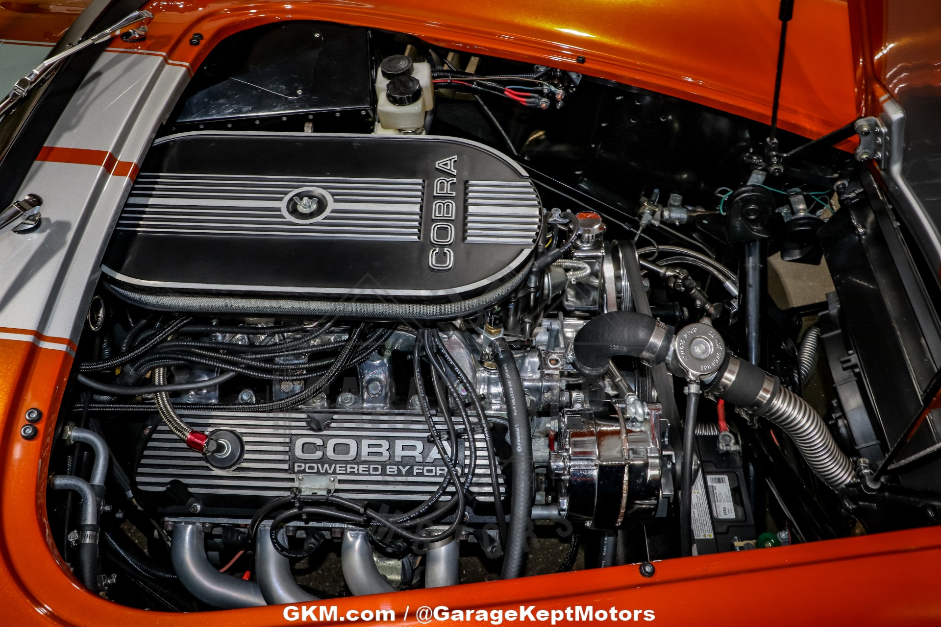 1965 Shelby Cobra Replica 99