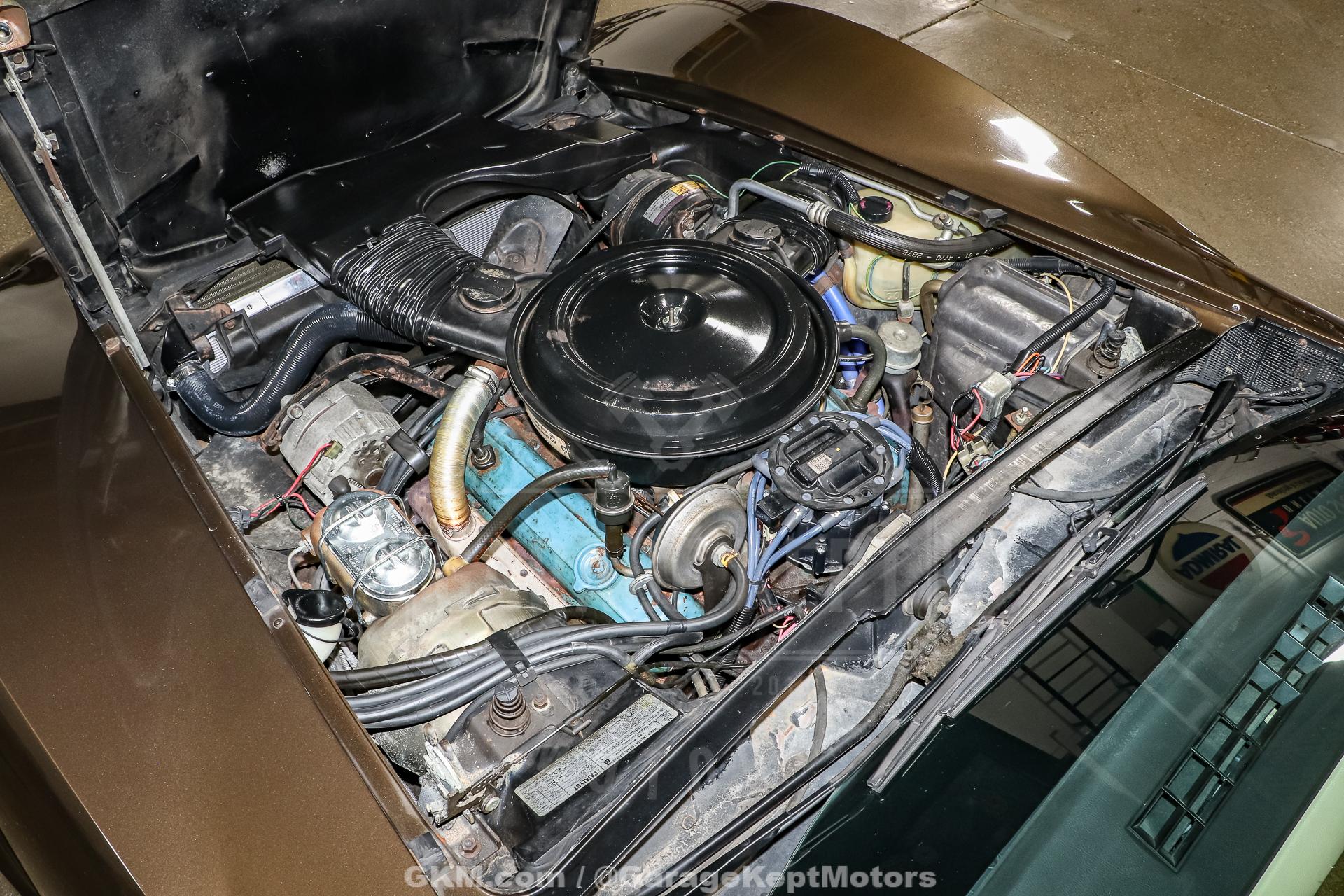 1979 Chevrolet Corvette 102