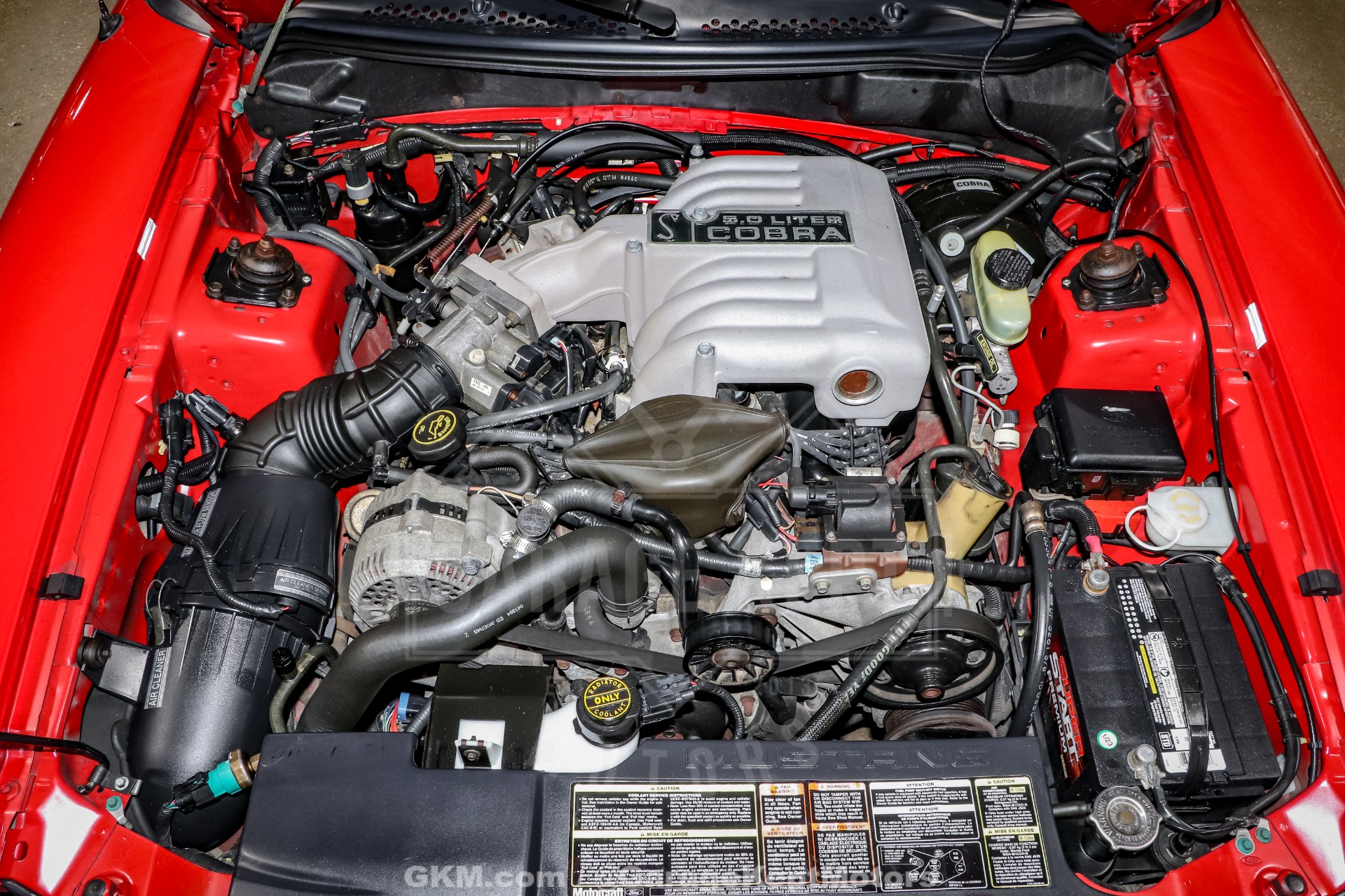 1994 Ford Mustang SVT Cobra 156