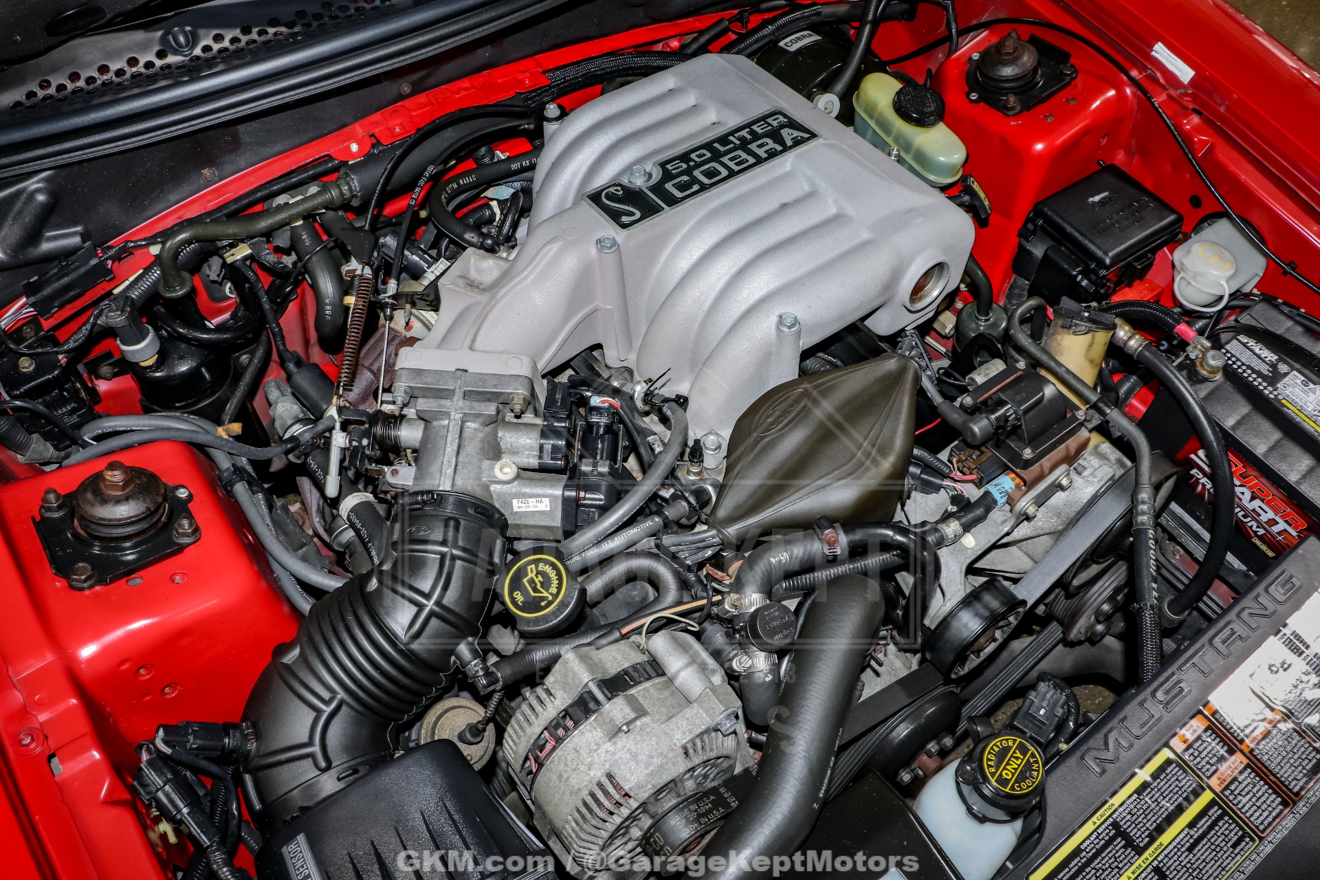 1994 Ford Mustang SVT Cobra 162