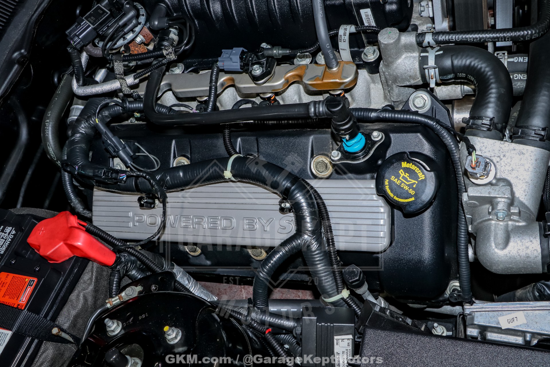 2010 Ford Shelby GT500 140