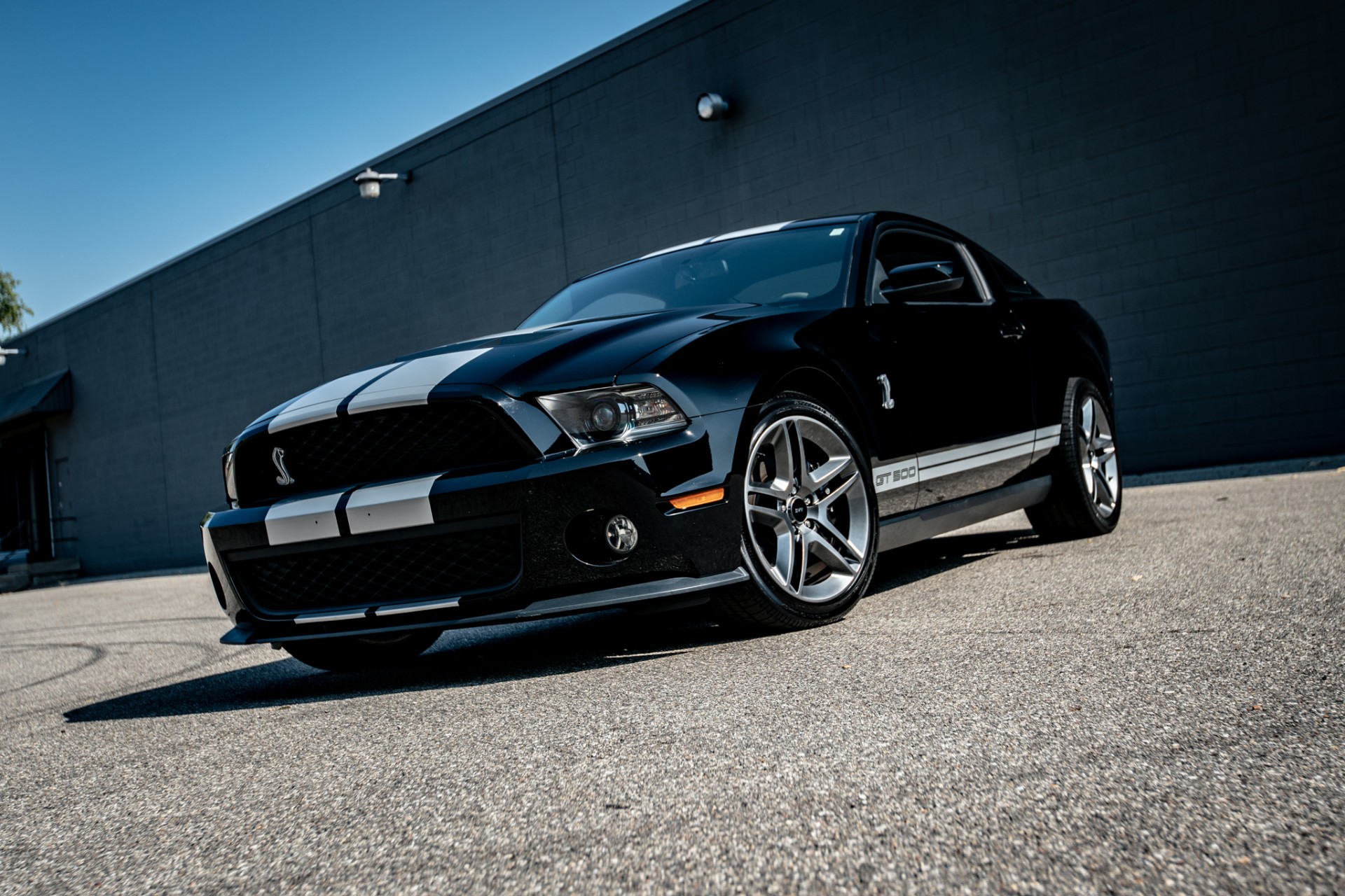 2010 Ford Shelby GT500 3