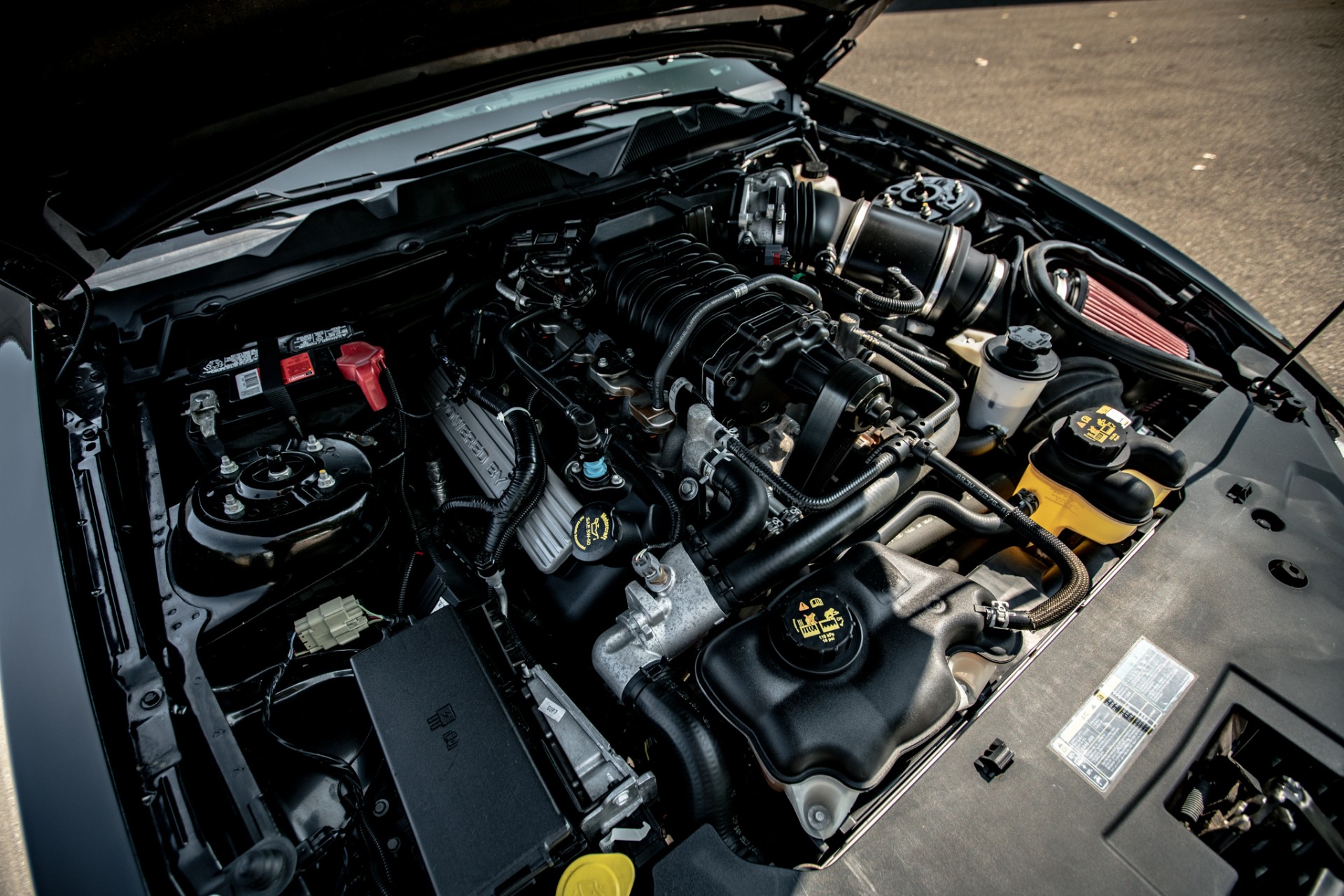 2010 Ford Shelby GT500 5