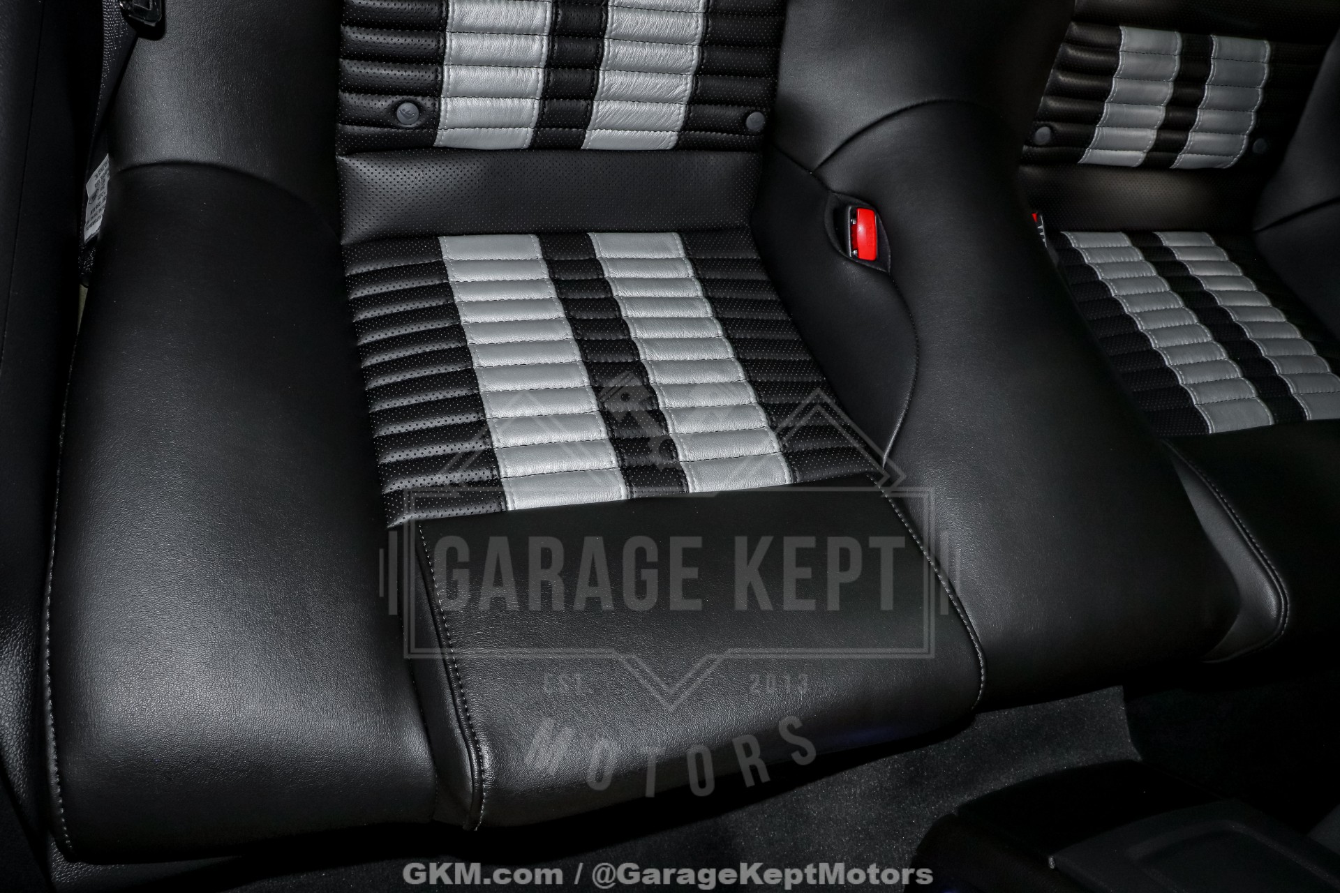 2010 Ford Shelby GT500 87