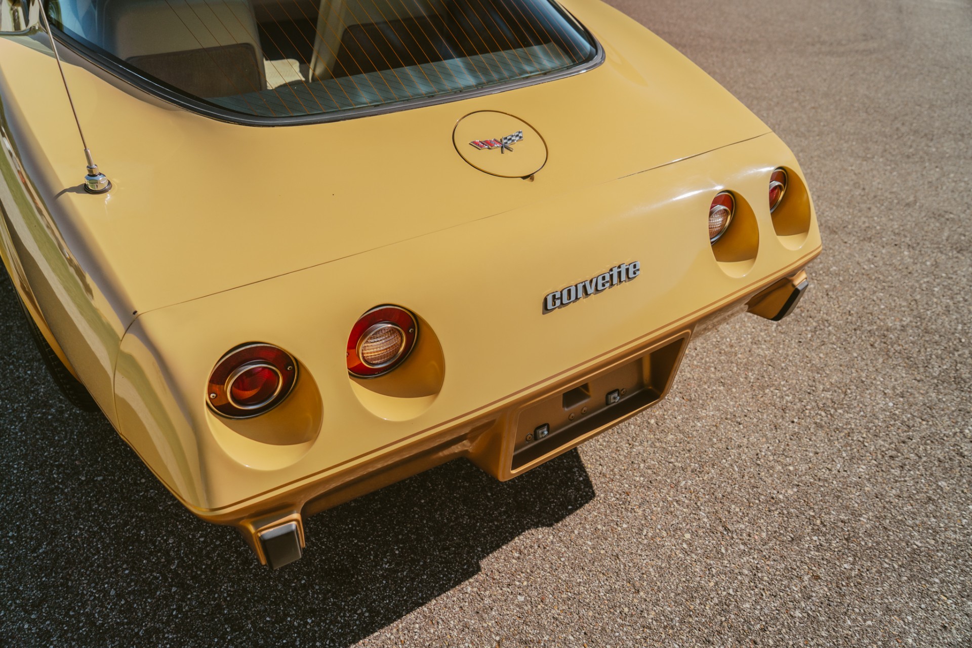 1979 Chevrolet Corvette 11