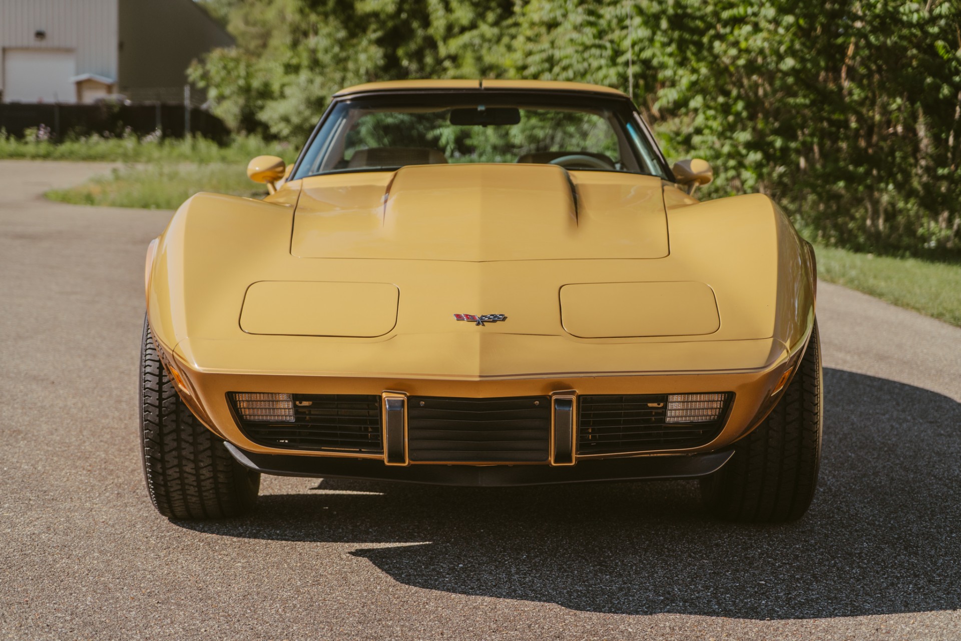 1979 Chevrolet Corvette 5