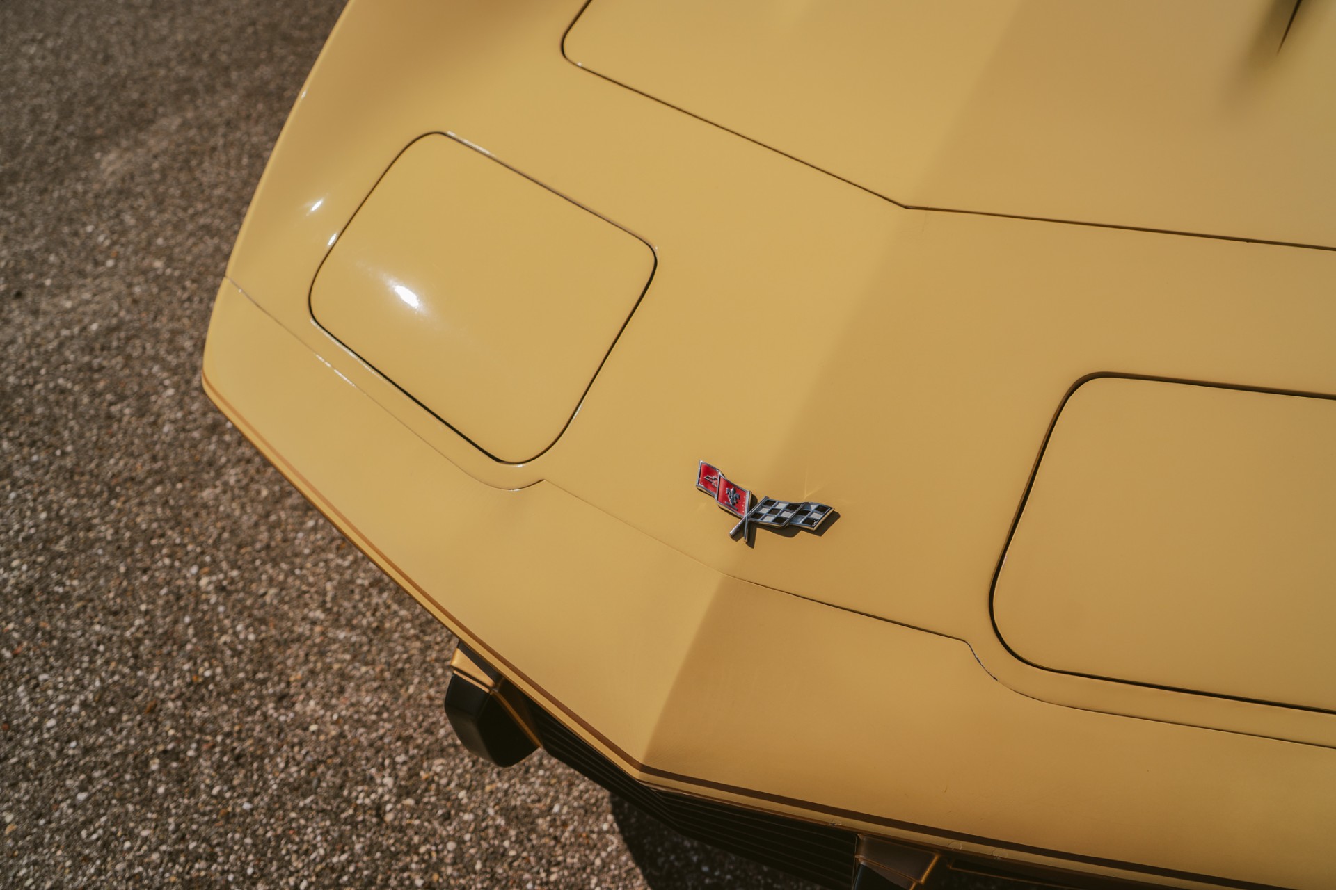 1979 Chevrolet Corvette 6