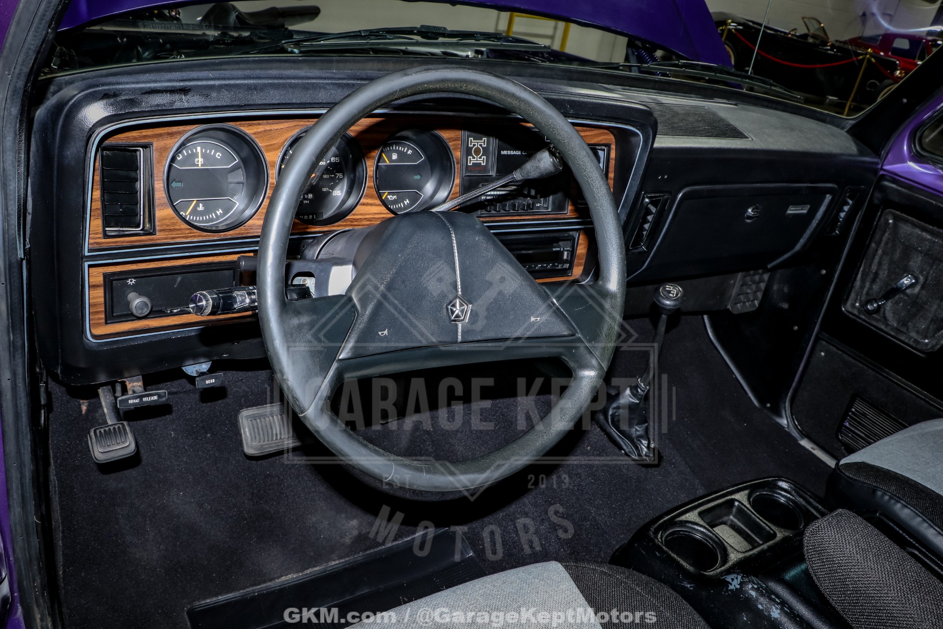1989 Dodge Ramcharger 101