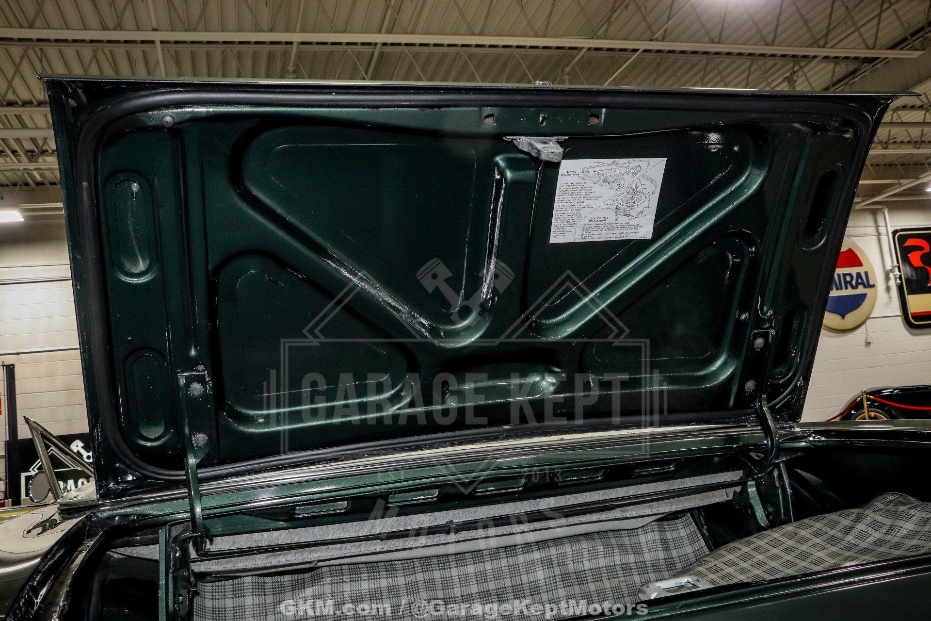 1965 Ford Mustang 101