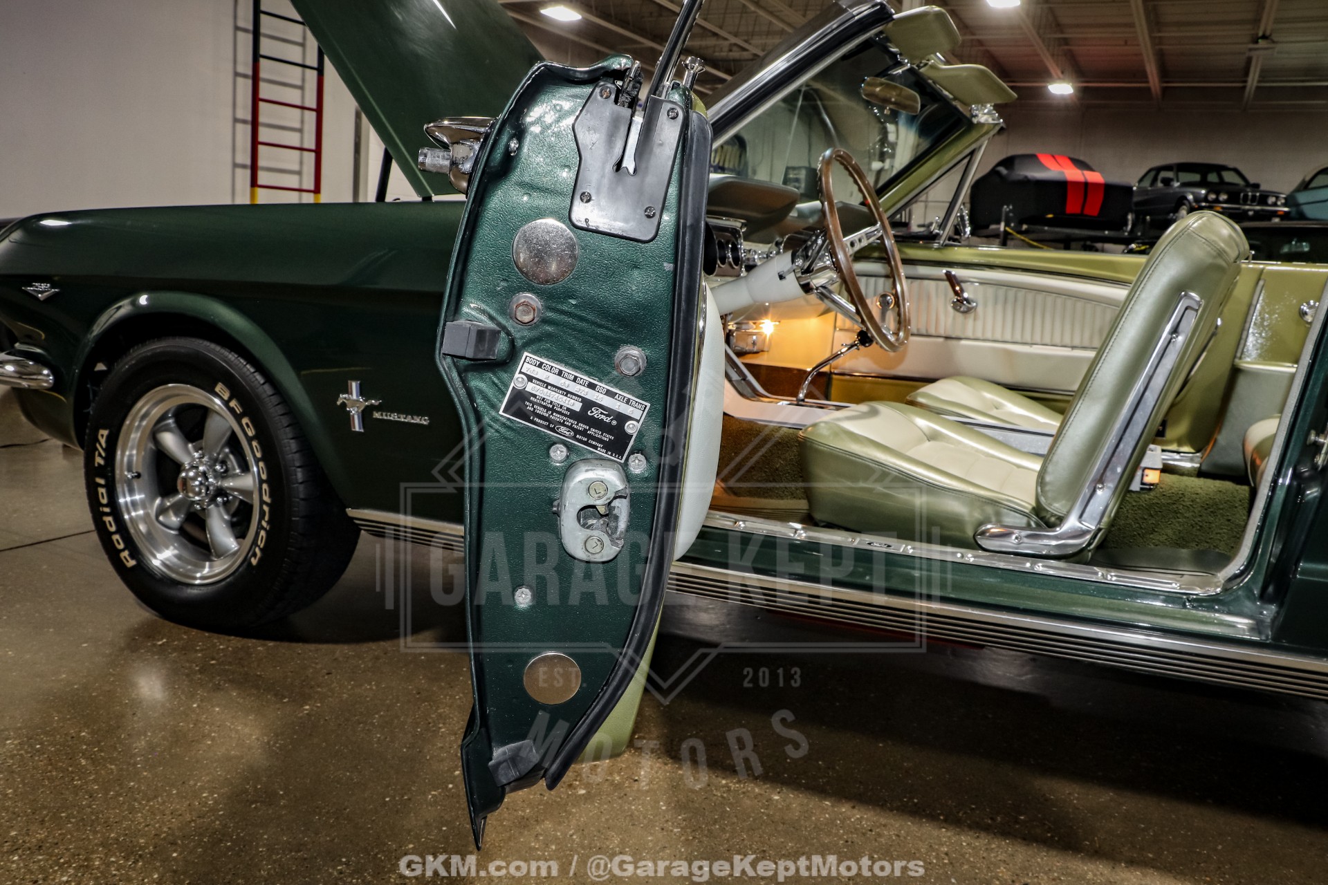 1965 Ford Mustang 110