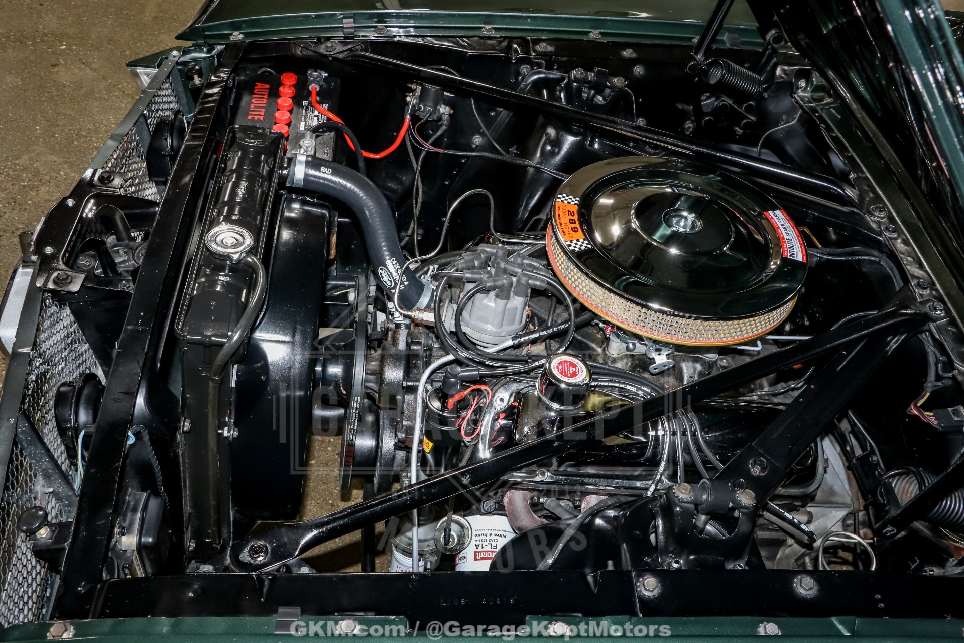 1965 Ford Mustang 151