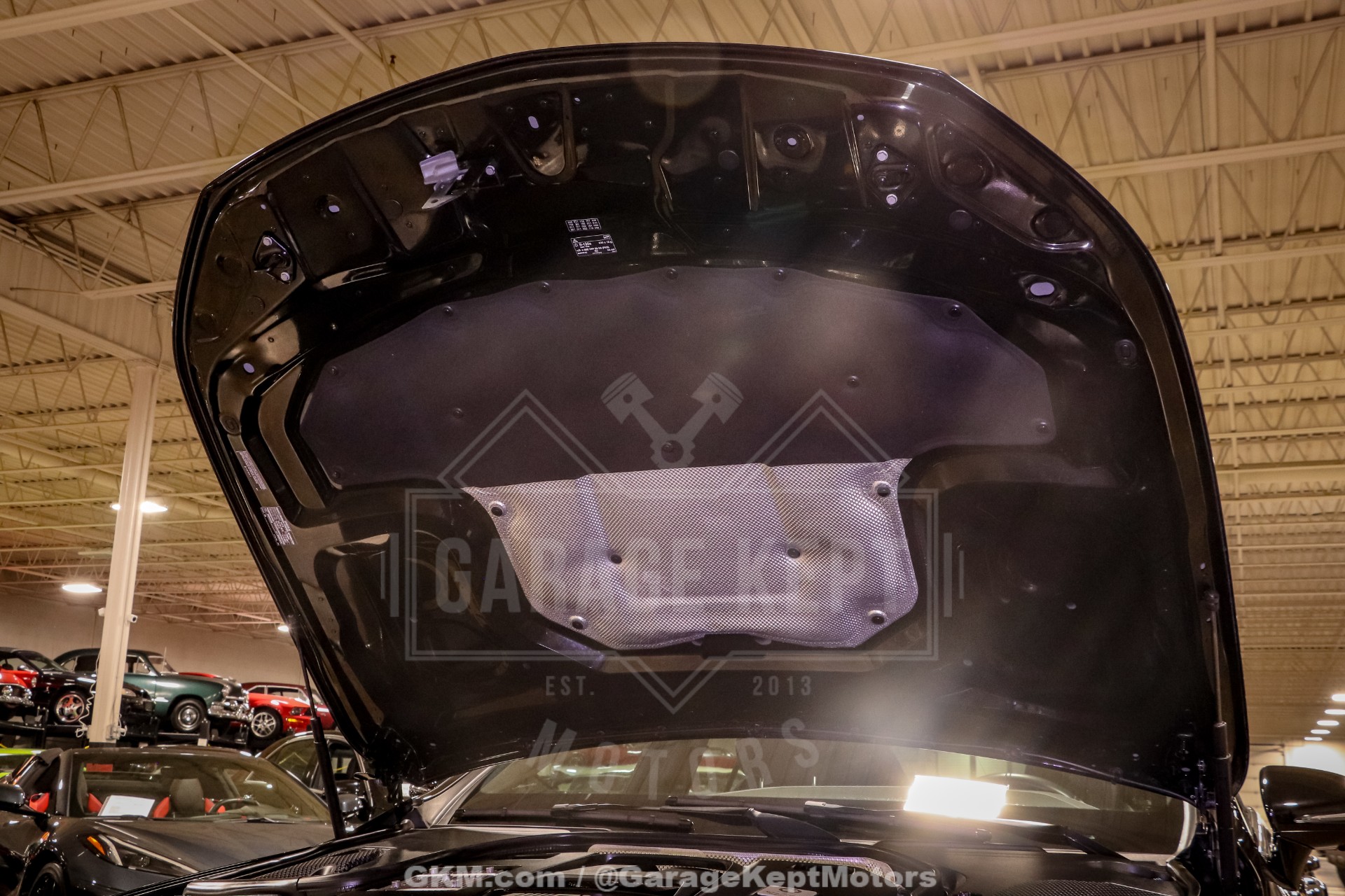 2019 Mercedes-Benz AMG GT 196
