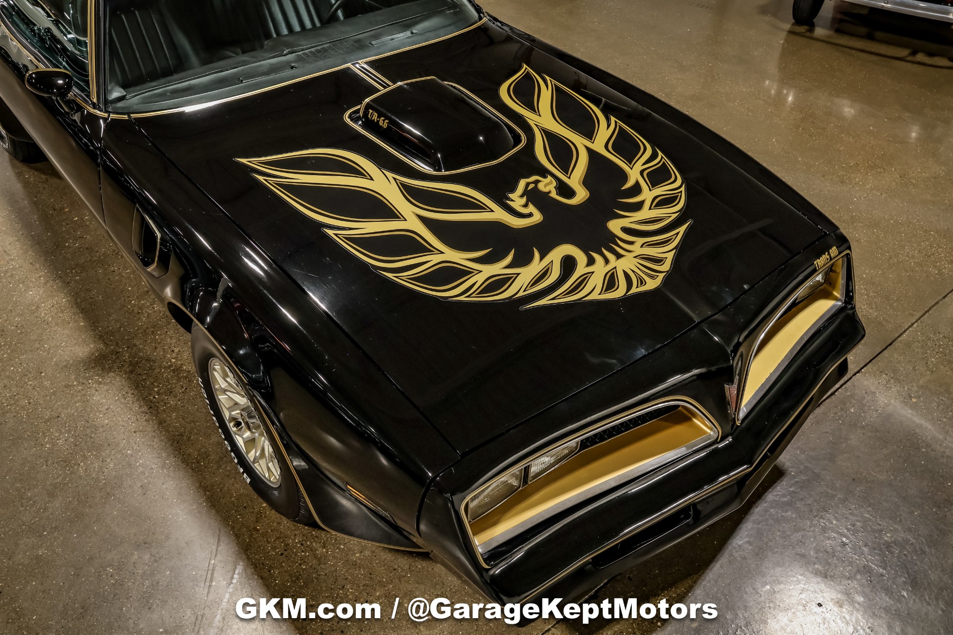 1978 Pontiac Firebird 14