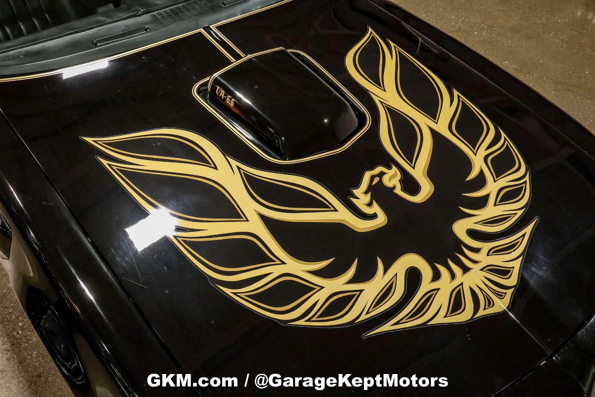 1978 Pontiac Firebird 15