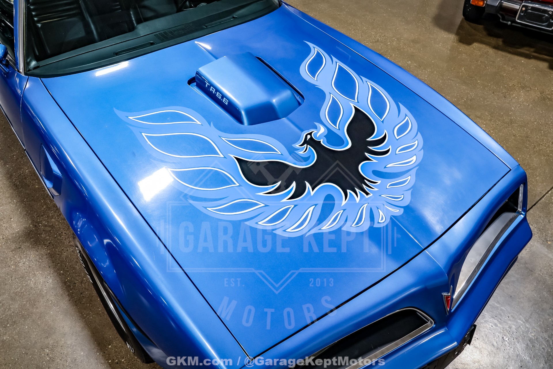 1978 Pontiac Firebird 15