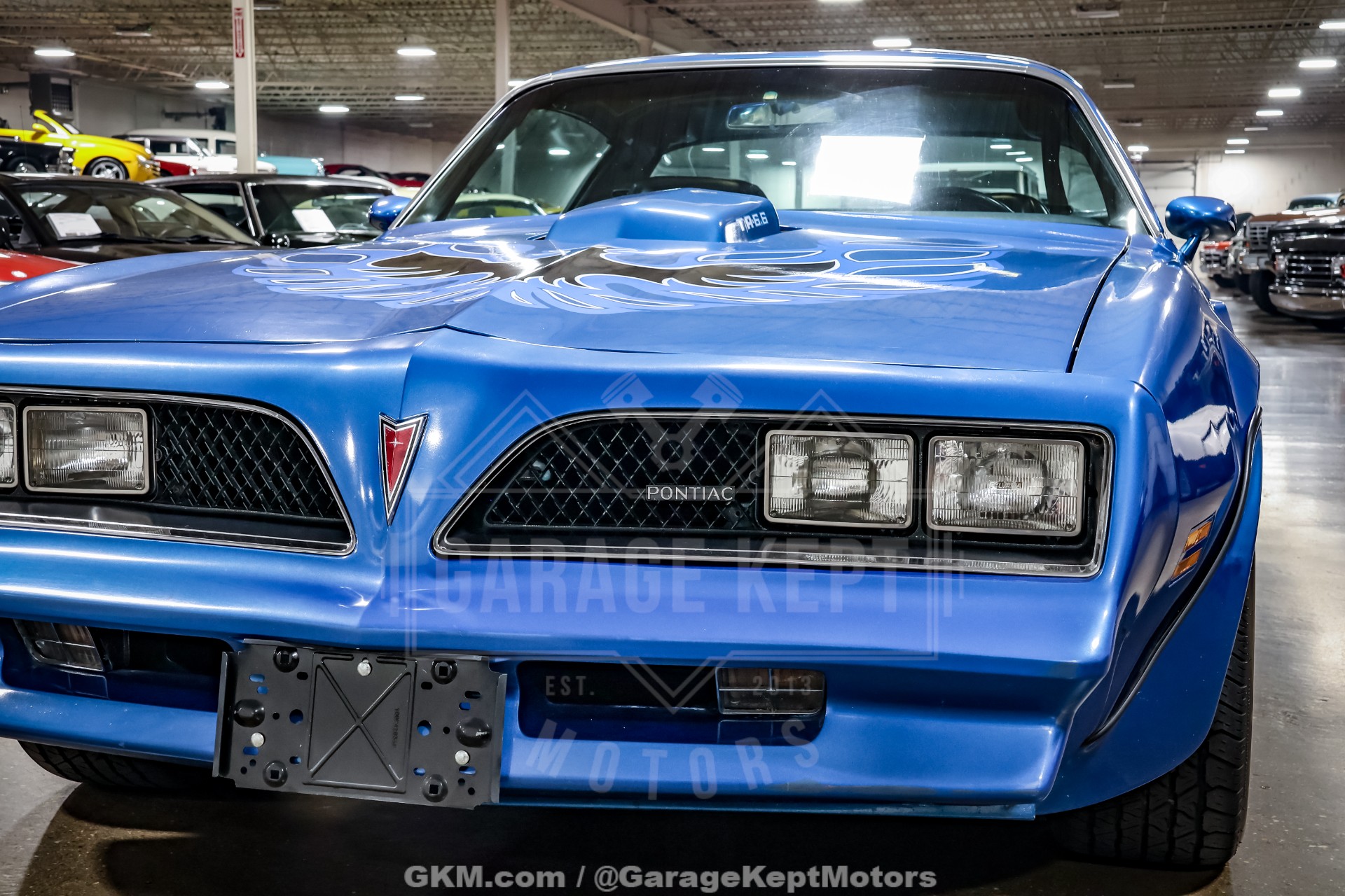 1978 Pontiac Firebird 19
