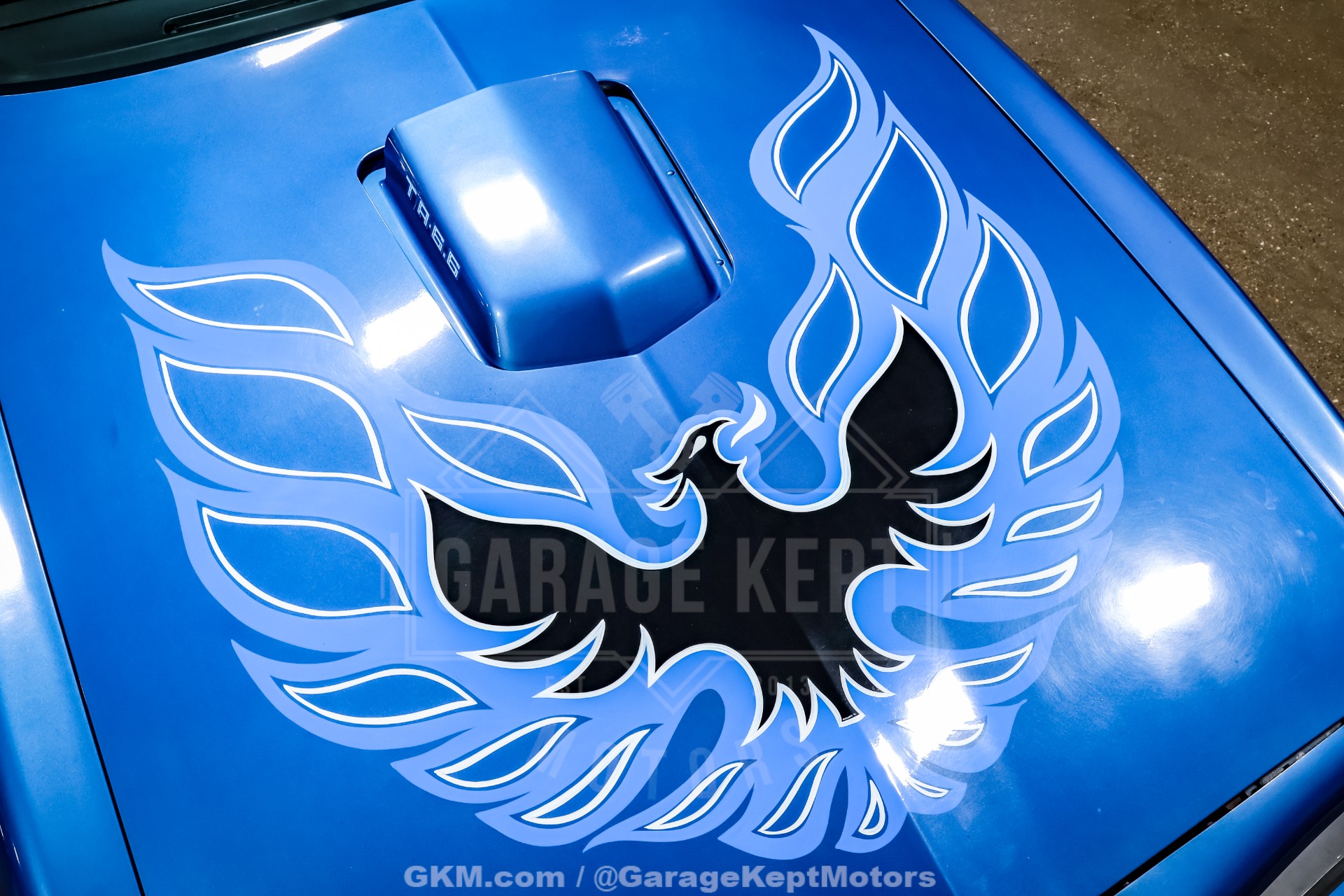 1978 Pontiac Firebird 61
